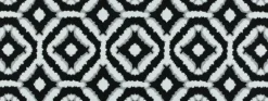 Del Sol 916 Ebony Ivory Covington Outdoor Fabric