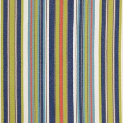 DEXTER MULTI Bella Dura Fabric