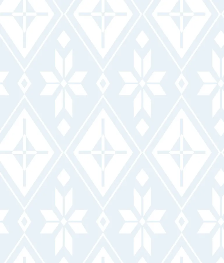 DI1009 Blue Disney Frozen 2 Elsa's Bedroom Wallpaper