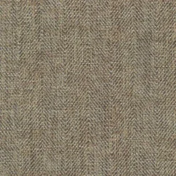 Dividend Cashew Regal Fabric