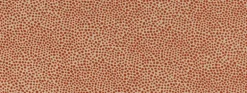 Dotify 329 Salsa Covington Fabric