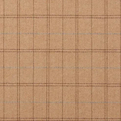 Duncan Camel P Kaufmann Fabric