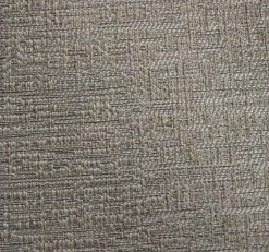 Dynamic Silver Regal Fabric