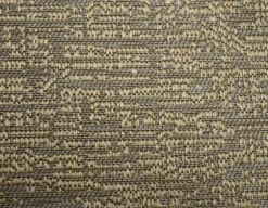 Dynamic Taupe Regal Fabric