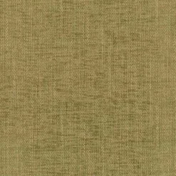 Edward Fern Regal Fabric