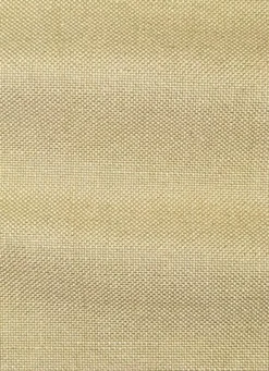 Evere Sisal Valdese Fabric