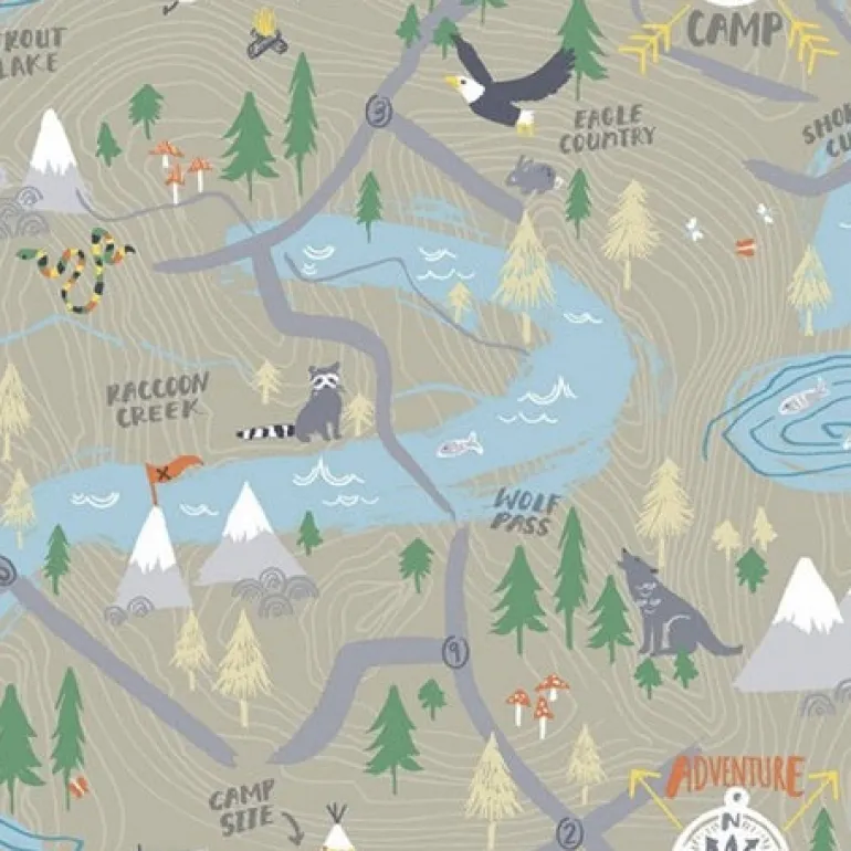 FA41906 Campground Wallpaper