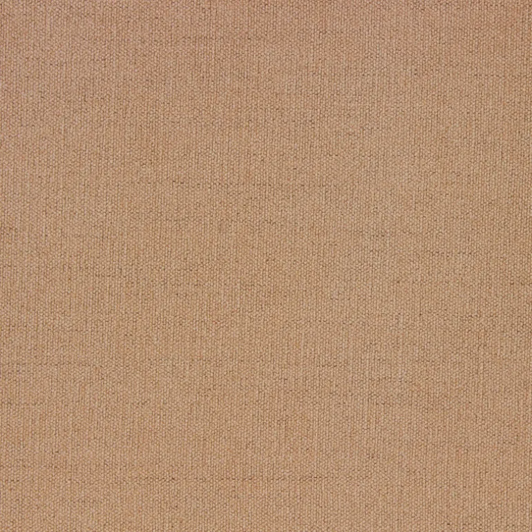 Favorite Cameo Richloom Fabric