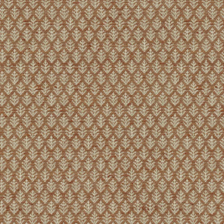 Fern Fair Persimmons P/K Lifestyles Fabric