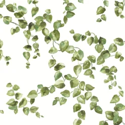 FH4036 Green Creeping Fig Vine Wallpaper