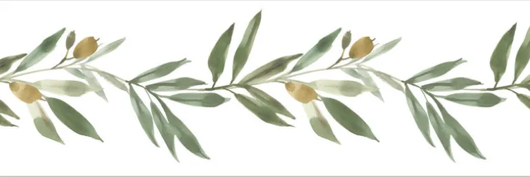FH4099BD Green Olive Branch Border