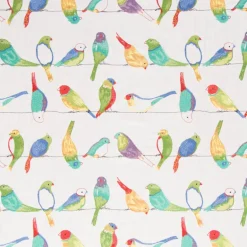 Flying Colors Jubilee Swavelle Mill Creek Fabric