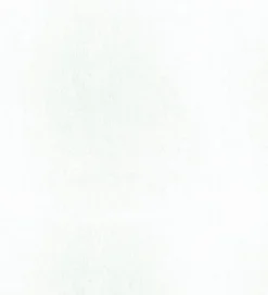 Furocious 404776 Swan PKL Studio Fabric