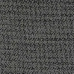 Future Graphite Regal Fabric