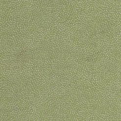 Galaxy Aloe Tempo Fabric