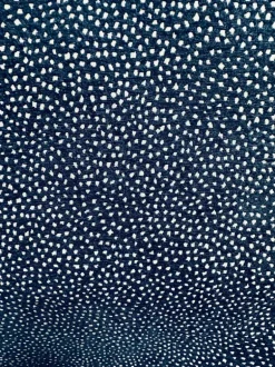 Galaxy Navy Tempo Fabric