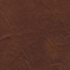 Gaucho 88 Aztec Fabric