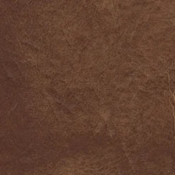 Gaucho 888 Desert Sand Fabric