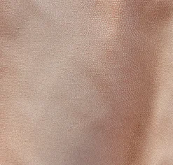 Gecko Coral Jays Textiles Fabric