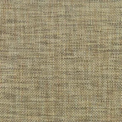Groupie Acorn Pkaufmann Fabric