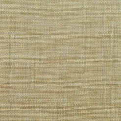 Groupie Ale Pkaufmann Fabric