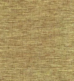 Groupie Buff Pkaufmann Fabric