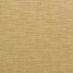 Groupie Raffia Pkaufmann Fabric