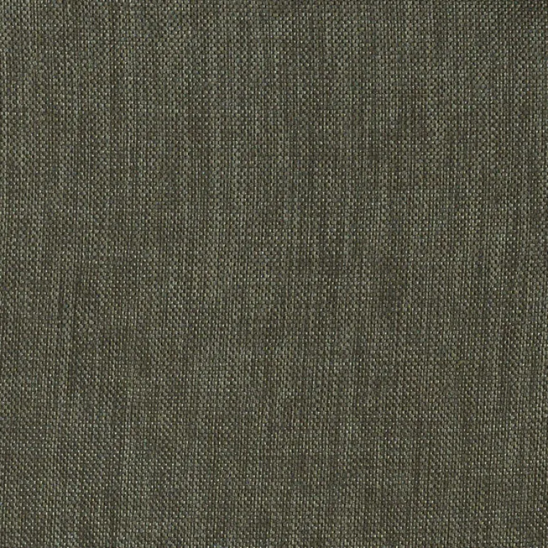 Groupie Storm Pkaufmann Fabric