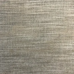 Guilty Pleasure Stone Swavelle Mill Creek Fabric