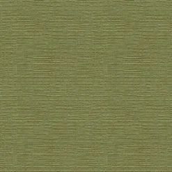 Heavenly 205 Apple Fabric