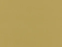 Jeanz Golden Covington Fabric