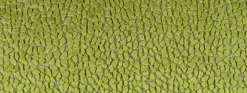 Jelly Beanz 25 Olive Covington Fabric