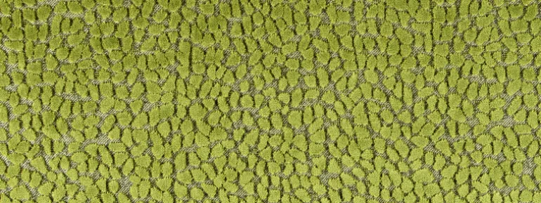 Jelly Beanz 25 Olive Covington Fabric