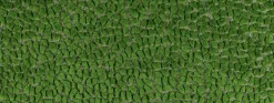 Jelly Beanz 232 Palm Covington Fabric