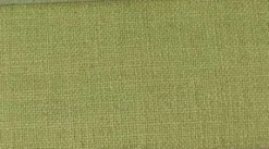 Linden Sprig Crypton Fabric