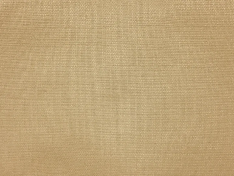 Linsen Buff Europatex Fabric