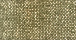 Lola Moss Crypton Home Fabric
