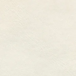 Lunar White 500 Fabric