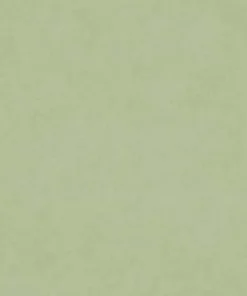 M9989 Celadon Barrow Fabric