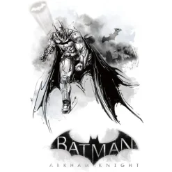 Murals Batman: Arkham Knight Darkness Giant Wall Graphic Mural