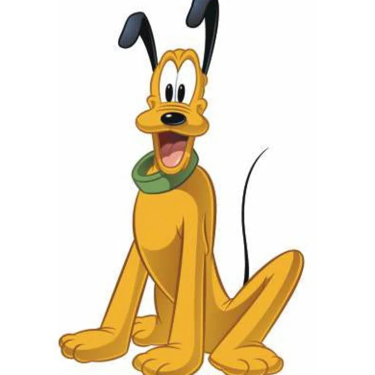 Murals Pluto Giant Wall Decal Mural