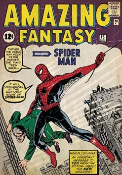 Murals Spider-Man #1 Comic Cover Mural