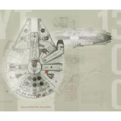 Murals Star Wars Millennium Falcon Pre-Pasted Mural
