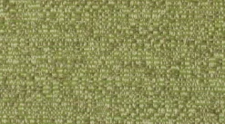 Naima Sprig Crypton Fabric