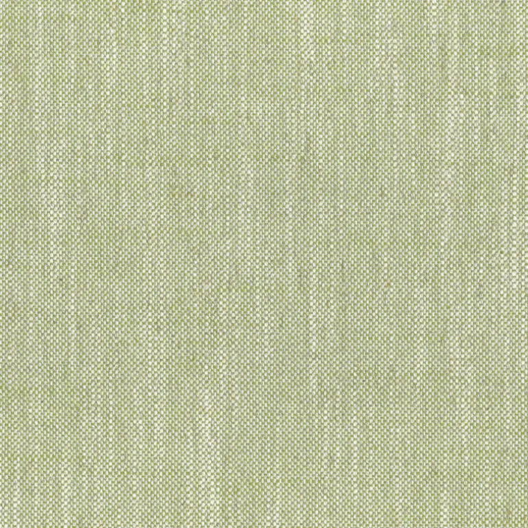 Nate Lime Regal Fabric