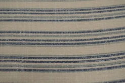 Newcomer Crew David Rothschild Fabric