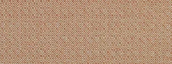 Nisha 318 Persimmon Covington Fabric