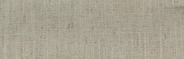 Nomad Eggshell Crypton Fabric