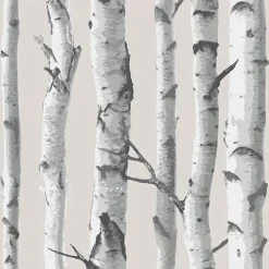 NU1650 Birch Tree Peel And Stick Wallpaper