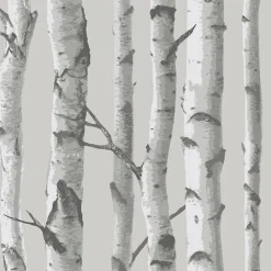 NU1694 Mountain Birch Grey Peel and Stick Wallpaper